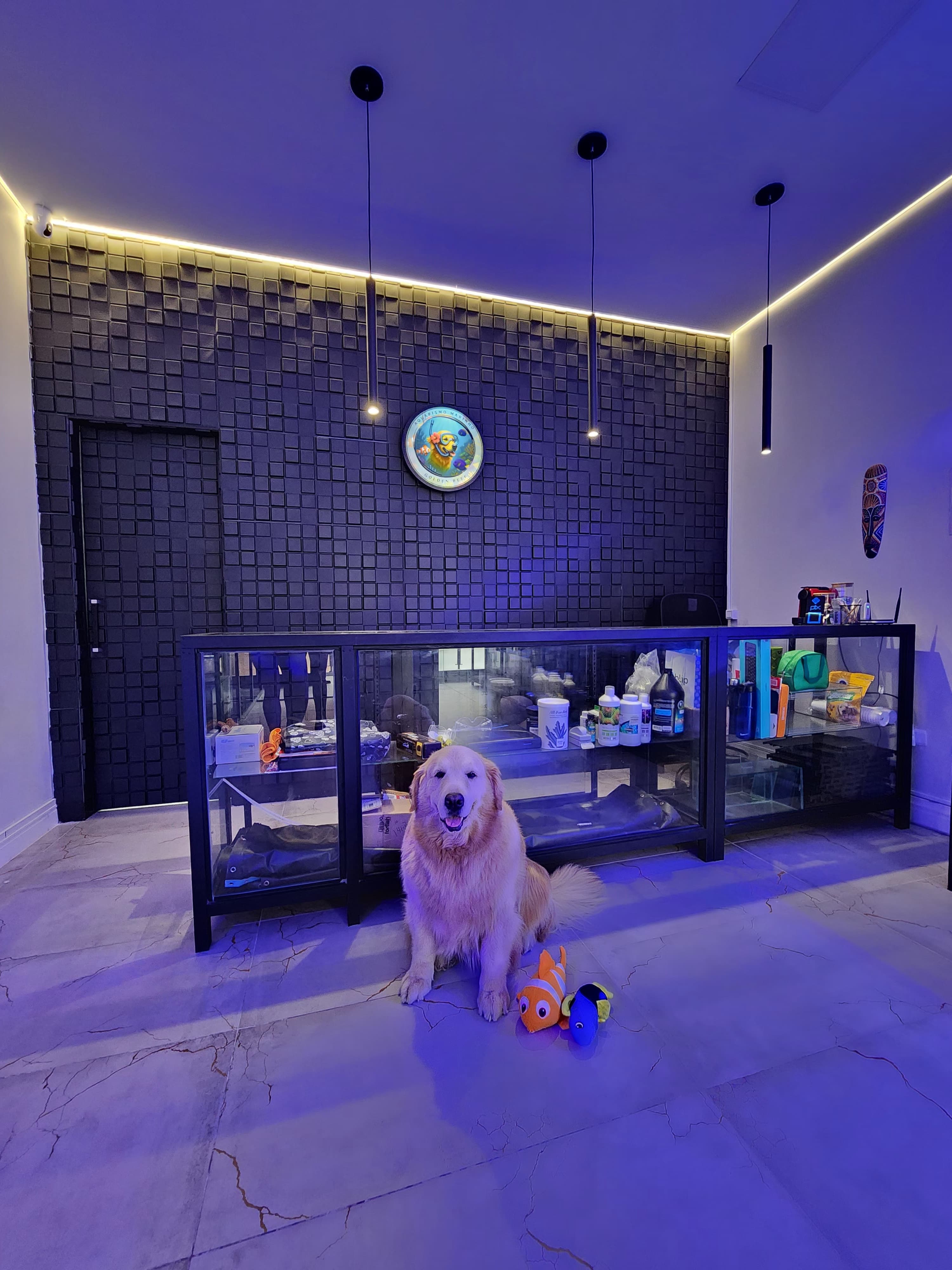 Balcão da Golden Reef